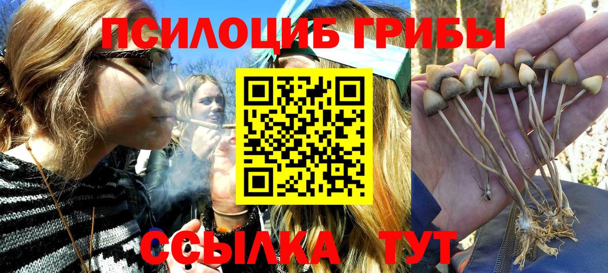 Россия  где можно купить   Вход с VPN  Галлюциногенные грибы Psilocybine cubensis 